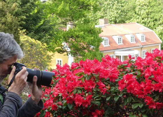 Fotoutflykt till Botaniska trädgården